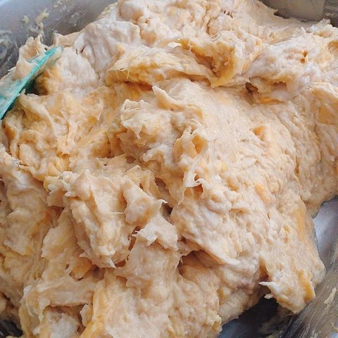 Makanan Fermentasi Asli Indonesia