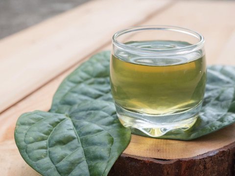 5 Resep Rebusan Daun dan Jamu Herbal yang Bisa Bikin Wajah Bebas Keriput dan Awet Muda