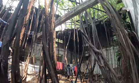 Bangunan bekas balai perikanan zaman Belanda di Jakarta