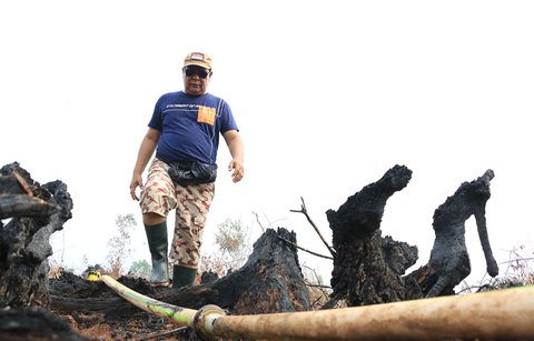 Gubernur Kalimantan Selatan, Sahbirin Noor atau Paman Birin datangi lokasi Karhutla beberapa waktu lalu. (Liputan6.com/Aslam Mahfuz)