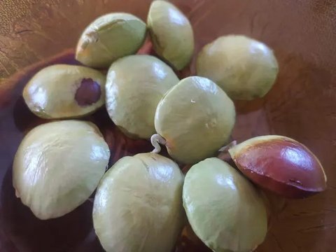 Ilustrasi/copyright shutterstock.com