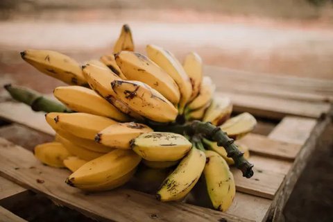 Sebenarnya produk kripik pisang asal Indonesia punya potensi besar untuk memasuki pasar di Malaysia dan China, namun ditolak China.