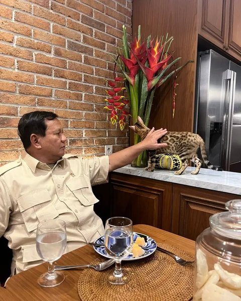 Presiden Prabowo mengunggah potretnya lagi menggendong kucing kesayangan, Bobby Kertanegara. Salah satu kaki Bobby nemplok ke hidung RI-1. (Foto: Dok. Instagram @prabowo)