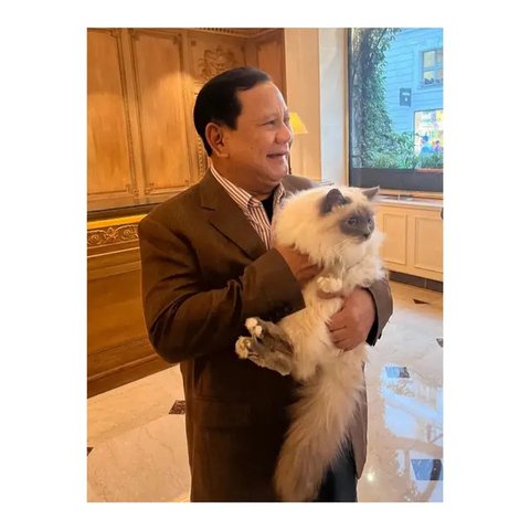 Presiden Prabowo mengunggah potretnya lagi menggendong kucing kesayangan, Bobby Kertanegara. Salah satu kaki Bobby nemplok ke hidung RI-1. (Foto: Dok. Instagram @prabowo)