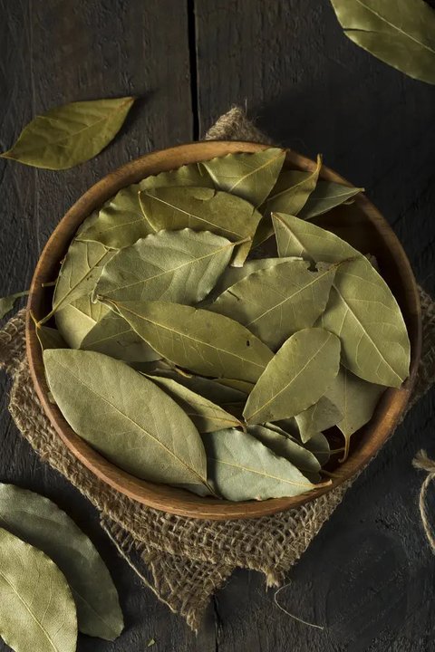 Manfaat daun kelor bagi kesehatan (pexels/kassiamelox)