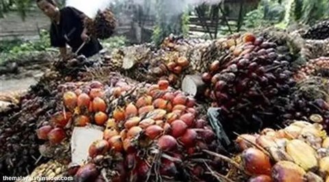 Sampel biodiesel B0, B20, B30, dan B100 dipamerkan saat uji jalan Penggunaan Bahan Bakar B30 untuk kendaraan bermesin diesel di Kementerian ESDM, Jakarta, Kamis (13/6/2019). (merdeka.com/Iqba