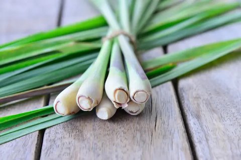 Cara merebus hati sapi./Copyright shutterstock.com/g/Yulia+Furman