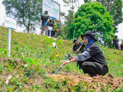 FOTO: Memulihkan Hutan, Aksi Nyata Kelompok Tani Mantan Penambang Melalui BRImenanam Grow & Green