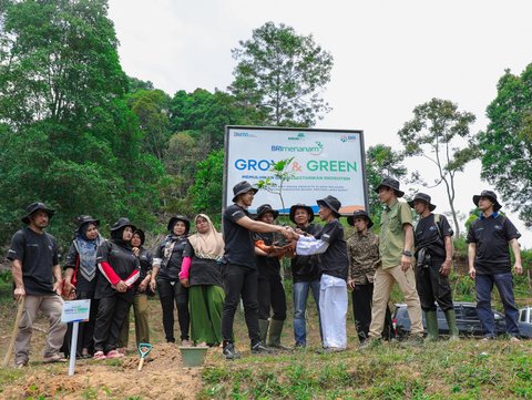 FOTO: Memulihkan Hutan, Aksi Nyata Kelompok Tani Mantan Penambang Melalui BRImenanam Grow & Green