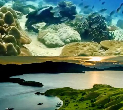 Taman Nasional Bunaken posisi pertama tempat menyelam terbaik di Asia (dok Instagram @btn_bunaken/https://www.instagram.com/p/DBueymmo10H/?igsh=MWt6aTdpNXJpbXQzdg==/Maheza Nurmiagita)
