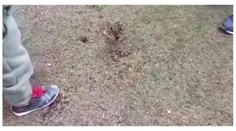 Sambaran petir di Peru, yang mengenai para pemain sepak bola di lapangan. (sumber: X/@nexta_tv)