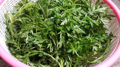 (Credit: Instagram/@melaniatjung)