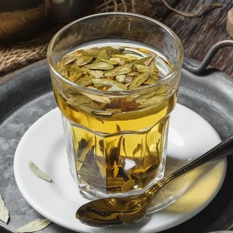 Daun Senna atau Jati Cina (Credit: Shutterstock/SurianiSuzie)