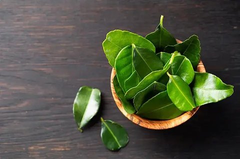 Ilustrasi minuman herbal | unsplash.com/@nastyabogdanova