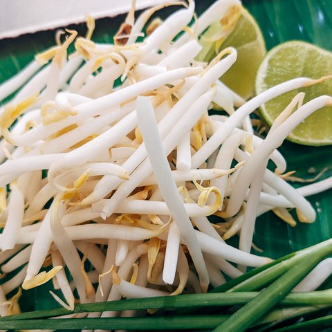 Tauge juga bisa menjadi bahan untuk menu makan siang praktis yang sehat (Foto: Unsplash.com/ Markus Winkler)