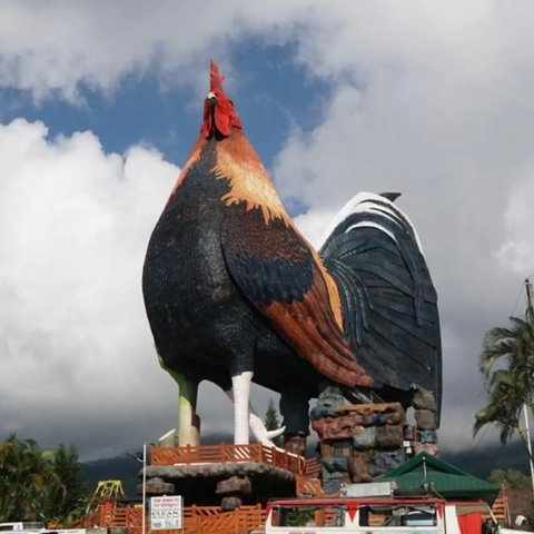 Hotel Berbentuk Ayam Ini Pecahkan Rekor Dunia, Lokasinya di Negara Tetangga