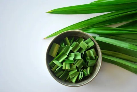 Daun Pandan (Credit: jcomp on Freepik)