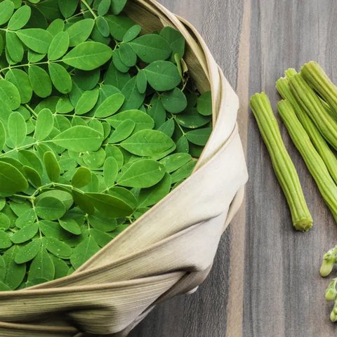 Daun Pandan (Credit: jcomp on Freepik)