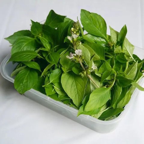 Rebusan Daun Herbal (Credit: Freepik)