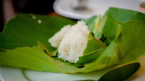 daun jati