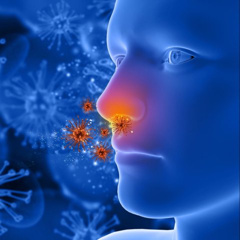 Mengenal Penyebab, Gejala, dan Pilihan Pengobatan Sinusitis yang Efektif