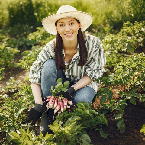 Kebugaran Fisik dari Berkebun