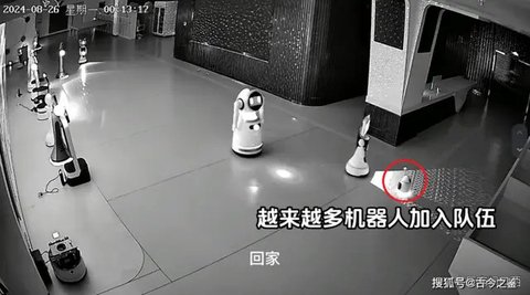 Viral Kejadian Aneh 12 Robot 'Diculik' oleh Robot Lainnya. (Sumber: Oddity Central)