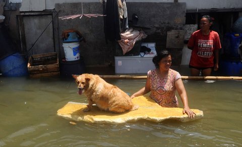 FOTO: Penampakan Banjir Rob Rendam Pesisir Utara Jakarta, Warga Dievakuasi Naik Buldoser