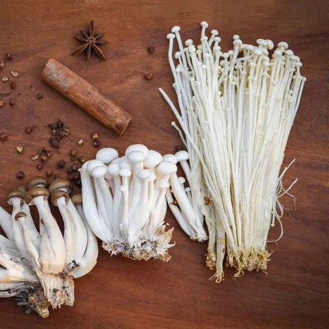 Jamur Enoki (Credit: Shutterstock/Kristanti)