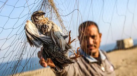 mimpi menangkap burung merpati putih Ilustrasi dibuat Stable Diffusion