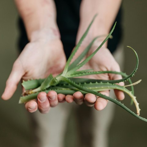 Rambut Diwarnai tapi Tetap Cantik? Ini Dia 7 Tips Alami yang Wajib Kamu Coba!