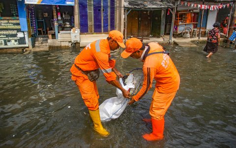 FOTO: Aksi Petugas PPSU Berjibaku Bersihkan Sampah Banjir Rob di Muara Angke