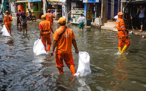 FOTO: Aksi Petugas PPSU Berjibaku Bersihkan Sampah Banjir Rob di Muara Angke