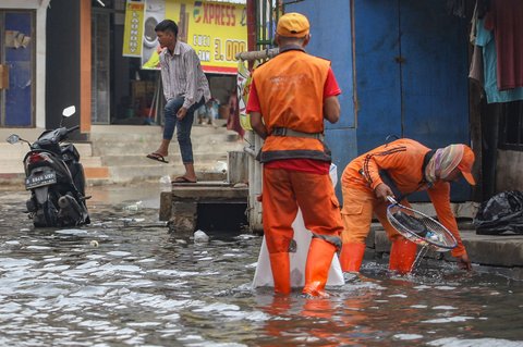 Petugas PPSU membersihkan sampah pada genangan air rob yang melanda wilayah Muara Angke, Jakarta Utara, Selasa (19/11/2024).