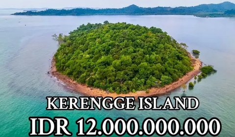 Penampakan Viral Pulau Indonesia Dijual Rp 12 Miliar (Sumber: Tiktok/fhomesjkt)