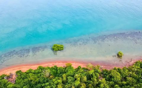 Penampakan Viral Pulau Indonesia Dijual Rp 12 Miliar (Sumber: Tiktok/fhomesjkt)
