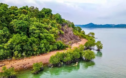 Penampakan Viral Pulau Indonesia Dijual Rp 12 Miliar (Sumber: Tiktok/fhomesjkt)