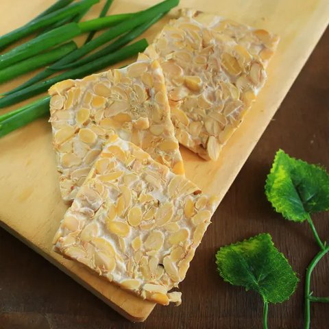 ilustrasi tempe mentah/copyright By Joko SL (Shutterstock)