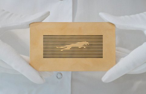 Jaguar yang sedang berburu masih dipertahankan.