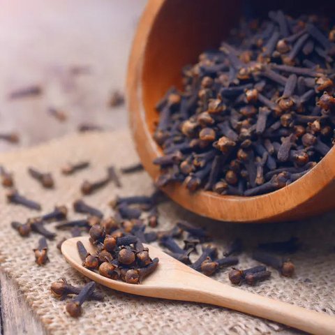 Ilustrasi Gigitan Nyamuk Credit: pexels.com/icon