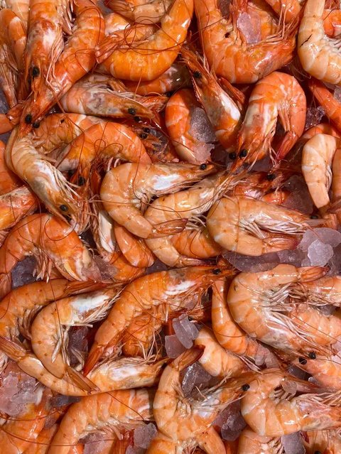 Jika kamu ingin mengolah udang, kamu harus perhatikan beberapa hal seperti ukuran dan kesegarannya (Foto: Unsplash.com/Daniel Klein)