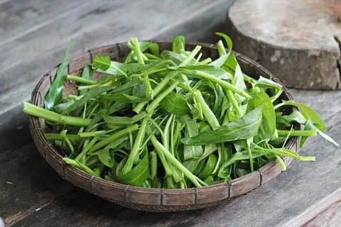 5 Ide Olahan Kangkung yang Murah dan Sehat untuk Makan Siang Ala Rumahan | copyright freepik