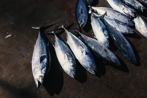 Trik Masak Telur Ikan Agar Tidak Hancur dan Bumbu Meresap dengan Sempurna (sumber: Cookpad @/resepleila)