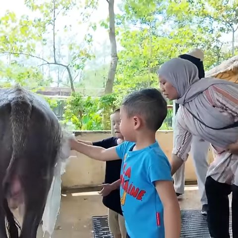 Potret Rayyanza Petik Alpukat Hingga Mandikan Kerbau, Bahagia Banget tapi Nangis Histeris Pas Menanam Padi