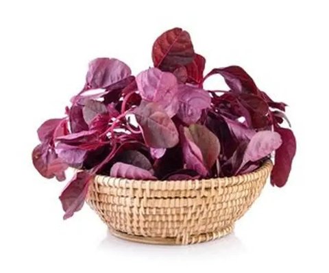Daun Bayam Merah Sayur (Credit: Shutterstock/lovelypeace)