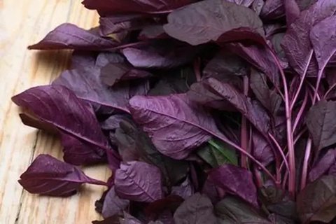 Daun Bayam Merah Sayur (Credit: Shutterstock/lovelypeace)
