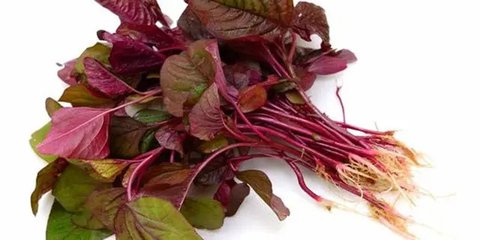 Daun Bayam Merah Sayur (Credit: Shutterstock/lovelypeace)