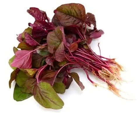 Daun Bayam Merah Sayur (Credit: Shutterstock/lovelypeace)