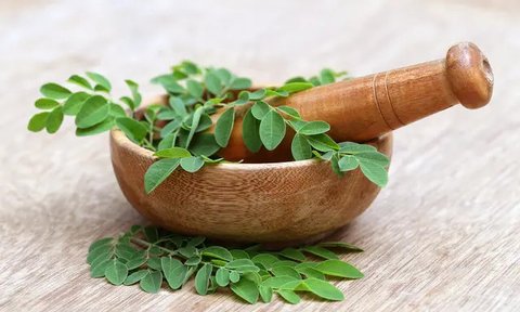Ilustrasi Daun Kelor Rebus / Shutterstock by Odua Images