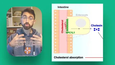 Experimen Nick Norwitz Makan 720 Telur (Credit: Youtube/Nick Norwitz @nicknorwitzPhD)